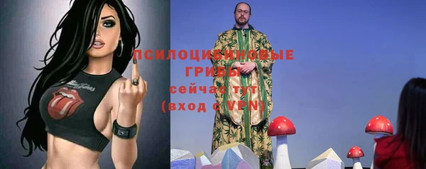 прущая мука Армянск